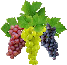 Grapes